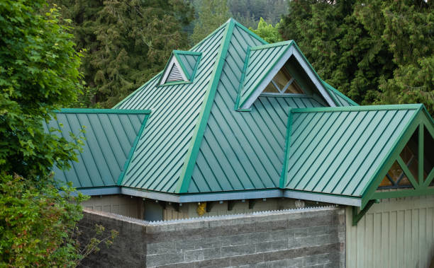 Best Asphalt Shingle Roofing  in Prairie View, TX