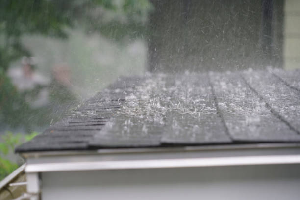 Best Emergency Roof Repair Services  in Prairie View, TX