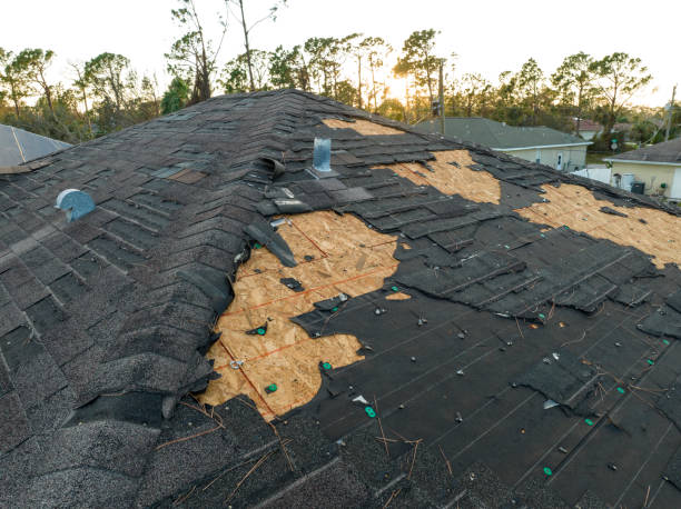 Best Asphalt Shingle Roofing  in Prairie View, TX