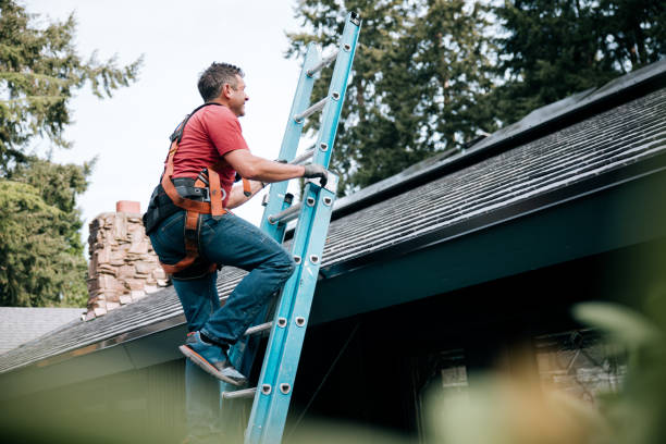 Best Roof Ventilation Installation  in Prairie View, TX