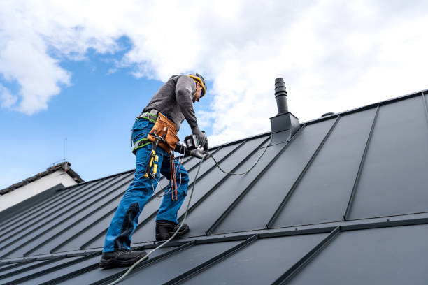 Best Roof Insulation Installation  in Prairie View, TX